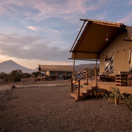 Africa Safari Lake Natron Mtowabaga Ngoại thất bức ảnh