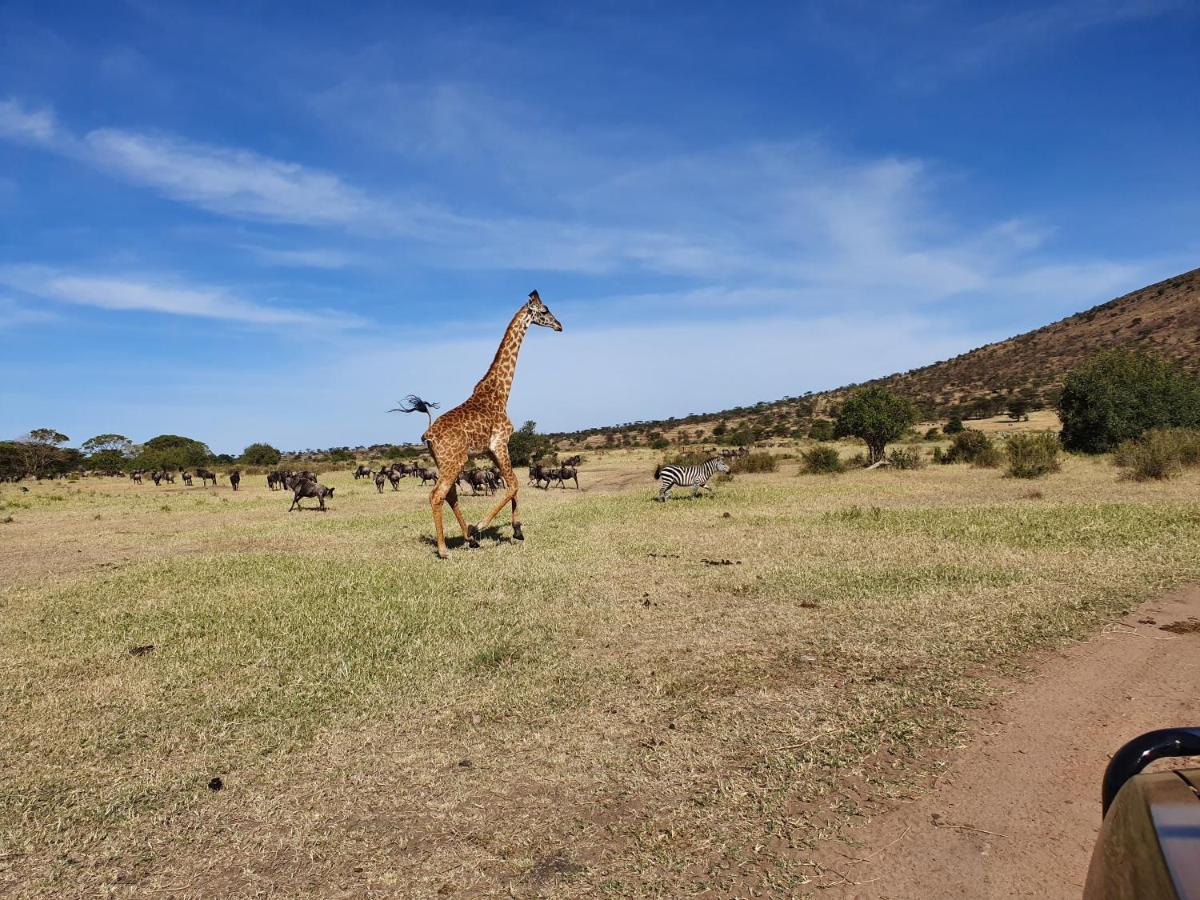 Africa Safari Lake Natron Mtowabaga Ngoại thất bức ảnh